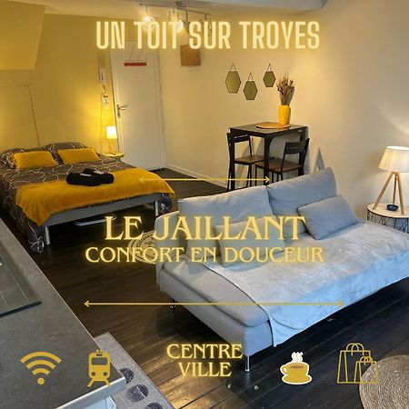 Le Jaillant - Wifi - Centre Ville Historique - Proche Gare 트루아 외부 사진
